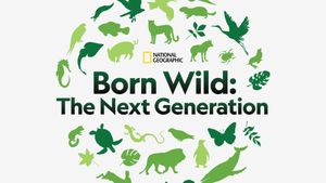 Born Wild: The Next Generation's poster