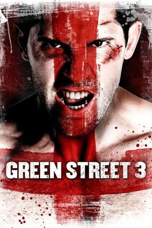 Green Street 3: Never Back Down's poster