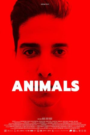 Animals's poster