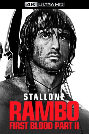 Rambo: First Blood Part II's poster