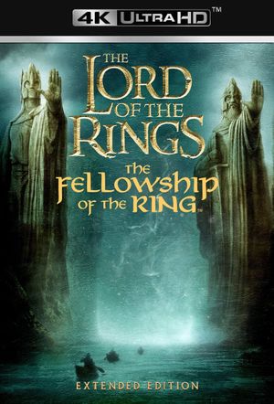 The Lord of the Rings: The Fellowship of the Ring's poster