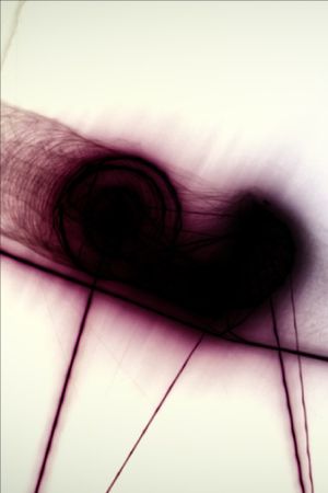 Snail Trail's poster