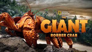 The Giant Robber Crab's poster