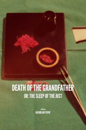 La mort du grand-père ou le sommeil du juste's poster