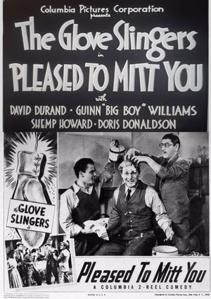 Pleased to Mitt You's poster