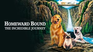 Homeward Bound: The Incredible Journey's poster