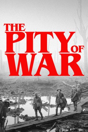 The Pity of War's poster