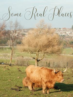 Some Real Places's poster