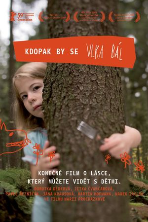 Kdopak by se vlka bál's poster