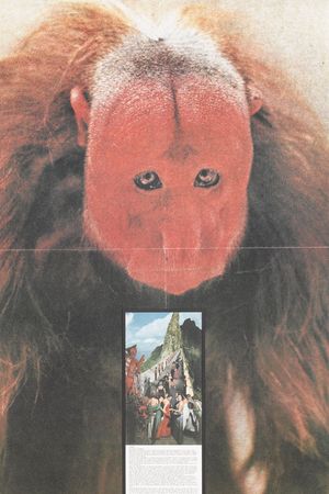Ceremonia's poster