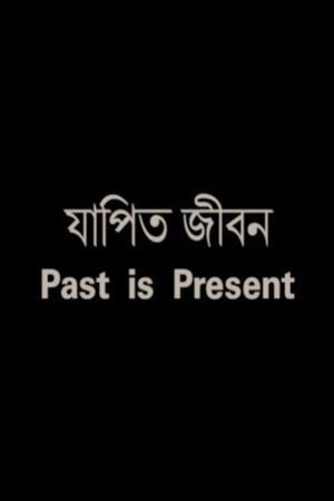 Past is Present's poster