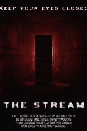 The Stream's poster