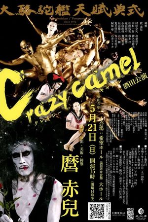 Crazy Camel's poster