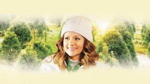 An Evergreen Christmas's poster