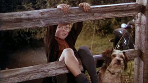 National Velvet's poster