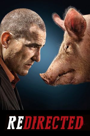 Redirected's poster