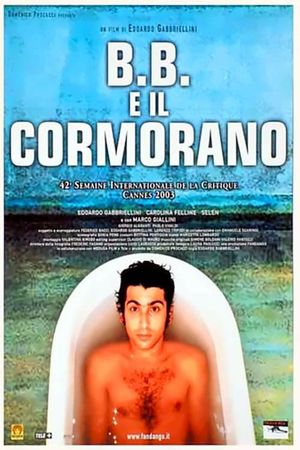 B.B. and the Cormorant's poster image