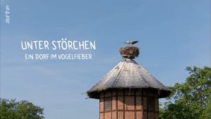 Klappern gehört zum Geschäft: Europas größtes Storchendorf's poster