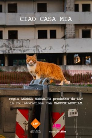 Ciao casa mia's poster