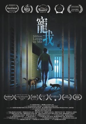 Million Loves in Me's poster