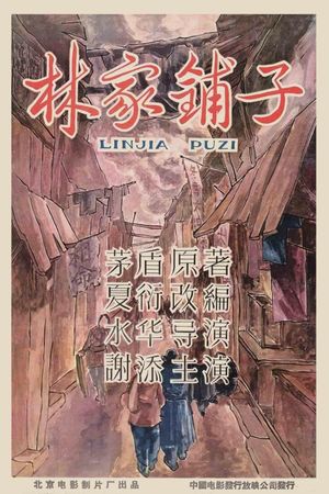 The Lin Family Shop's poster