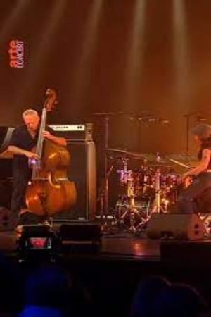 Avishai Cohen Trio Leverkusener Jazztage 2024's poster