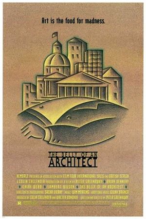 The Belly of an Architect's poster