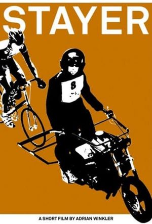 Steher's poster
