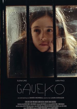 Gaueko's poster