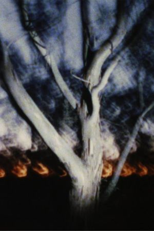 The Land at Night's poster image