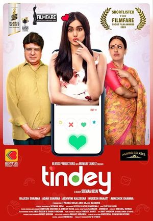 Tindey's poster