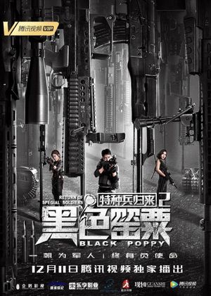 Special Forces Return 2's poster image