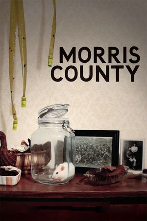 Morris County's poster