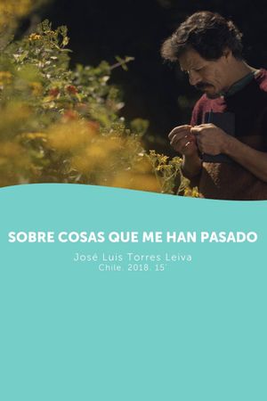 About Things That Happened to Me's poster
