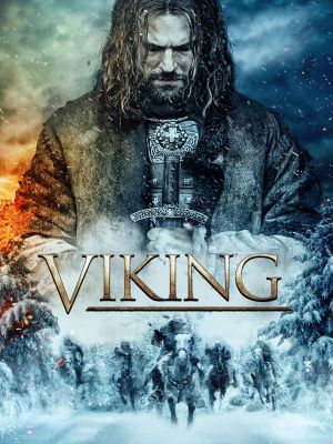 Viking's poster