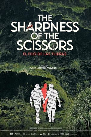 The Sharpness of the Scissors's poster