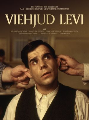 Viehjud Levi's poster