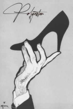 Polyester's poster
