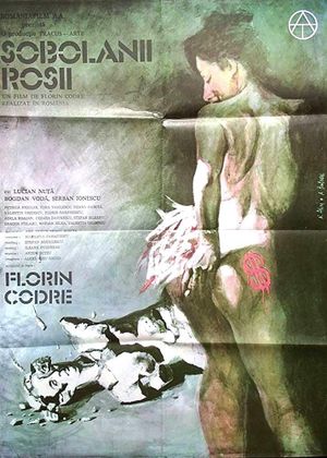 Sobolanii rosii's poster