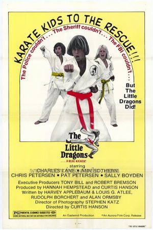 The Little Dragons's poster