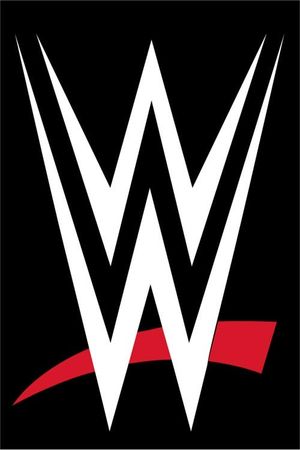 WWE Post Event Press Conference: February 21, 2025's poster