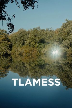 Tlamess's poster