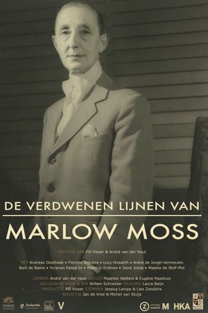 De verdwenen lijnen van Marlow Moss's poster