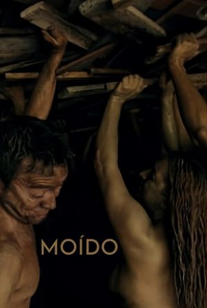 Moído's poster