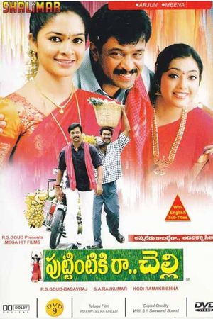 Puttintiki Raa Chelli's poster