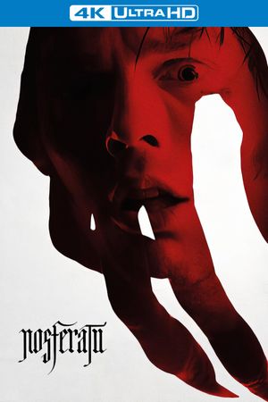 Nosferatu's poster