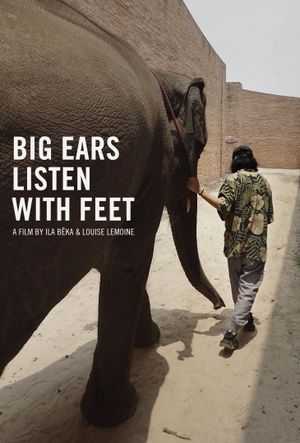 Big Ears Listen with Feet's poster