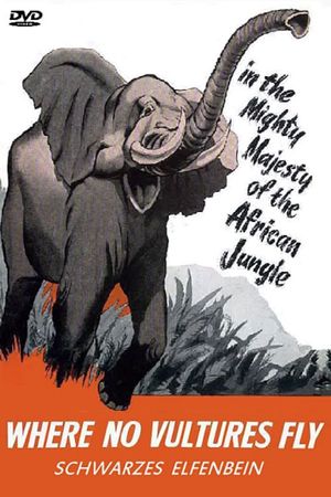 Ivory Hunter's poster
