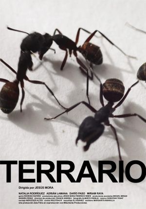 Terrario's poster