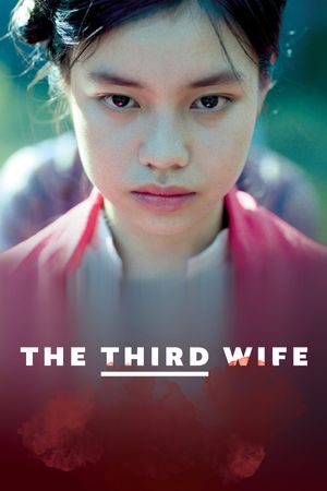 The Third Wife's poster